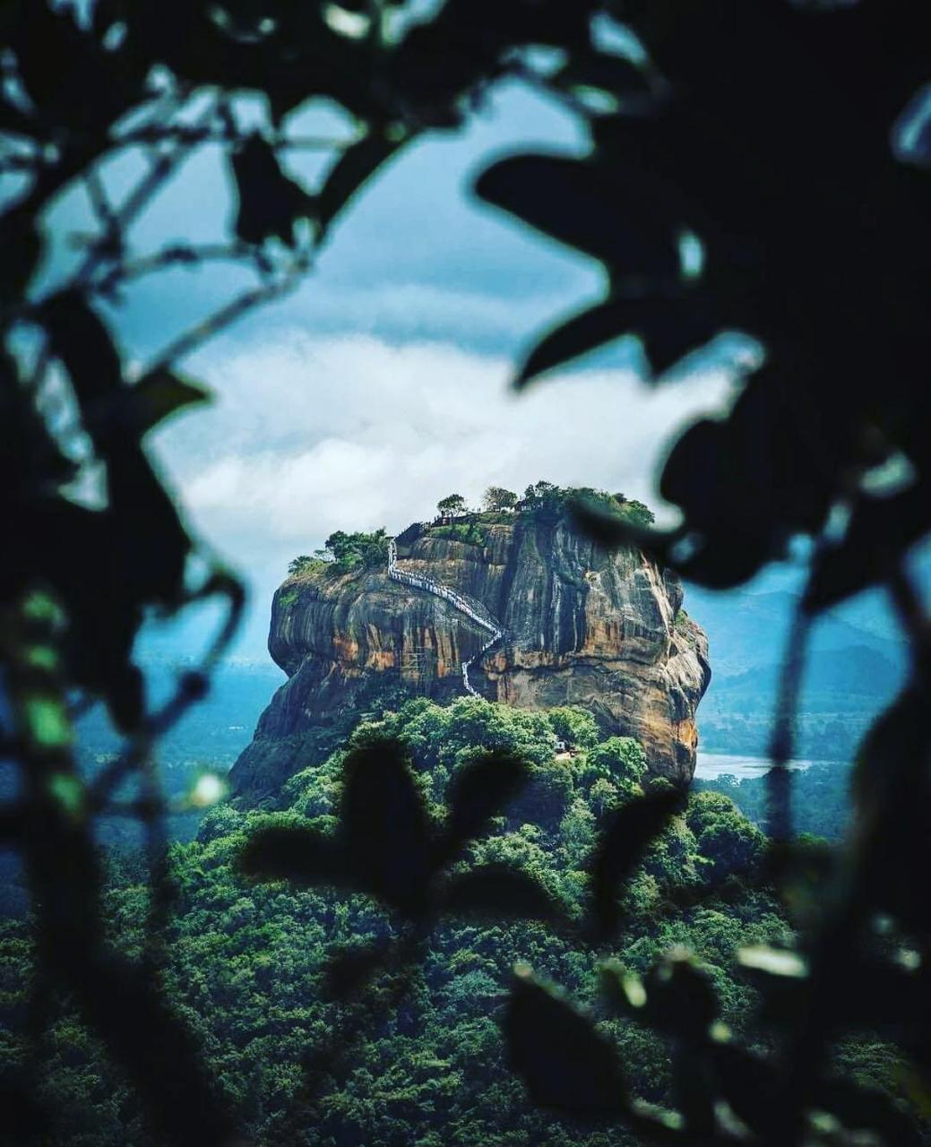 Hostel #Bedbox Dambulla Exterior foto